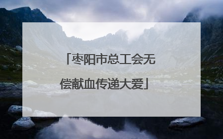 枣阳市总工会无偿献血传递大爱