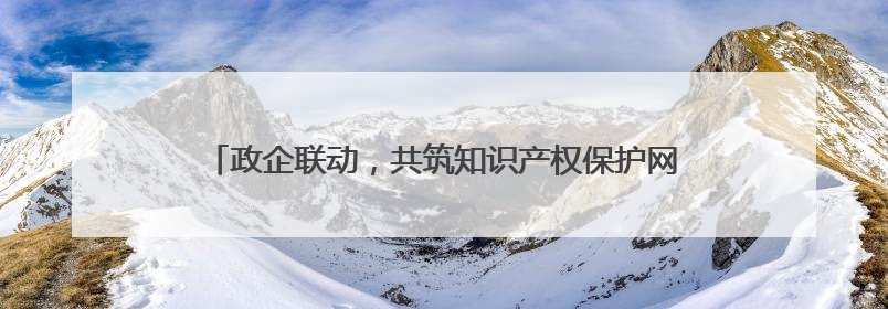 政企联动，共筑知识产权保护网——赋能民营经济高质量发展