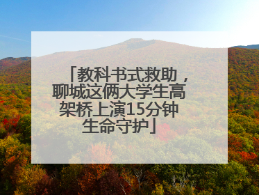 教科书式救助，聊城这俩大学生高架桥上演15分钟生命守护