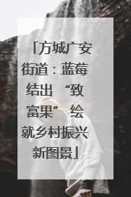 方城广安街道：蓝莓结出 “致富果” 绘就乡村振兴新图景