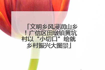 文明乡风浸润山乡！广信区田墩镇黄坑村以“小切口”绘就乡村振兴大图景