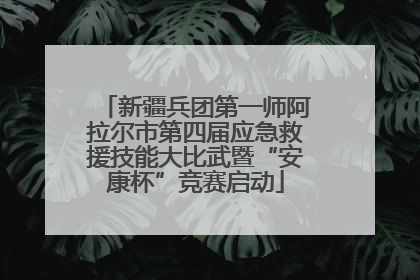 新疆兵团第一师阿拉尔市第四届应急救援技能大比武暨“安康杯”竞赛启动