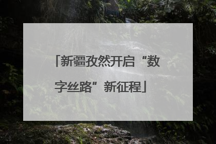 新疆孜然开启“数字丝路”新征程