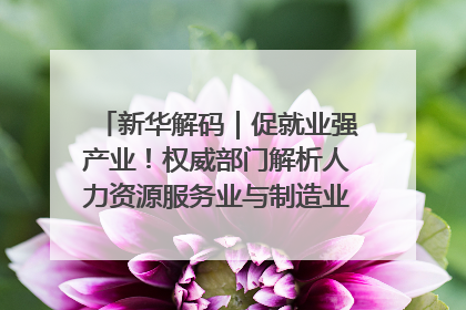 新华解码｜促就业强产业！权威部门解析人力资源服务业与制造业融合发展试点