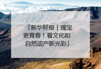 新华鲜报｜瑰宝更青春！看文化和自然遗产新光彩