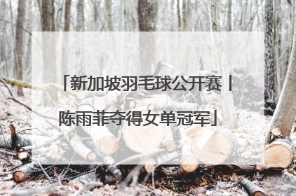 新加坡羽毛球公开赛丨陈雨菲夺得女单冠军