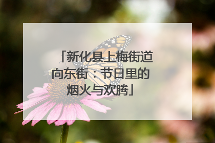 新化县上梅街道向东街：节日里的烟火与欢腾