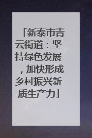 新泰市青云街道：坚持绿色发展，加快形成乡村振兴新质生产力