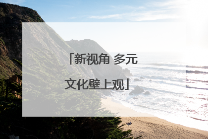 新视角 多元文化壁上观