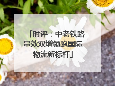 时评：中老铁路量效双增领跑国际物流新标杆