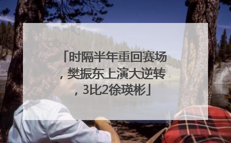 时隔半年重回赛场，樊振东上演大逆转，3比2徐瑛彬