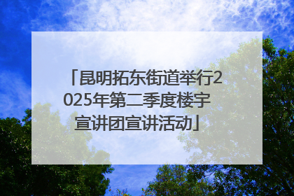 昆明拓东街道举行2025年第二季度楼宇宣讲团宣讲活动