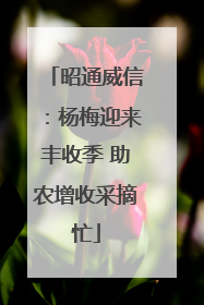 昭通威信：杨梅迎来丰收季 助农增收采摘忙