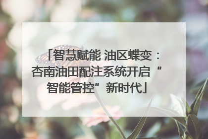 智慧赋能 油区蝶变：杏南油田配注系统开启“智能管控”新时代