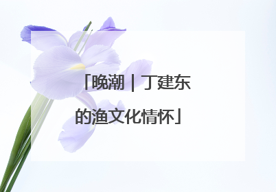 晚潮｜丁建东的渔文化情怀