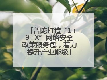 普陀打造“1+9+X”网络安全政策服务包，着力提升产业能级