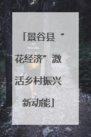 景谷县“花经济”激活乡村振兴新动能