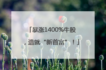 暴涨1400%牛股，造就“新首富”！