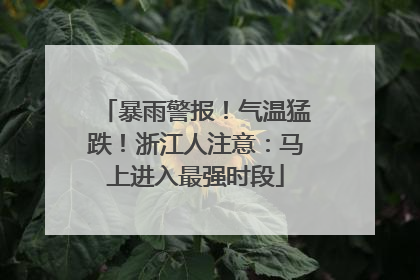暴雨警报！气温猛跌！浙江人注意：马上进入最强时段