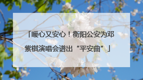 暖心又安心！衡阳公安为邓紫棋演唱会谱出“平安曲”