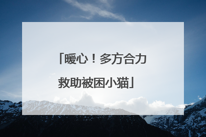 暖心！多方合力救助被困小猫