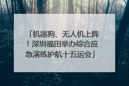 机器狗、无人机上阵！深圳福田举办综合应急演练护航十五运会