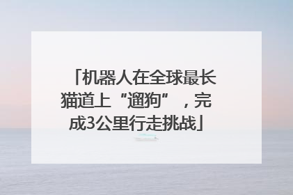 机器人在全球最长猫道上“遛狗”，完成3公里行走挑战