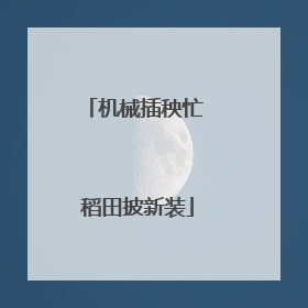 机械插秧忙 稻田披新装