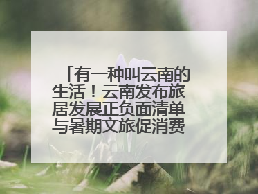 有一种叫云南的生活！云南发布旅居发展正负面清单与暑期文旅促消费“组合拳”