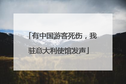 有中国游客死伤，我驻意大利使馆发声