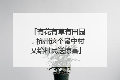 有花有草有田园，杭州这个景中村又给村民送惊喜
