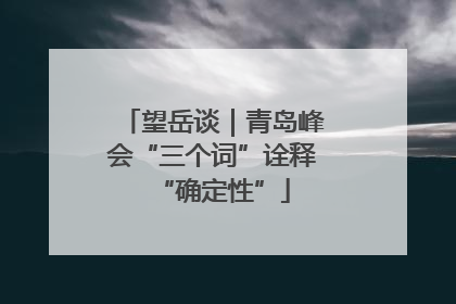 望岳谈｜青岛峰会“三个词”诠释“确定性”