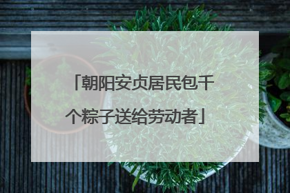 朝阳安贞居民包千个粽子送给劳动者