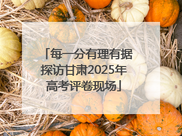 每一分有理有据 探访甘肃2025年高考评卷现场