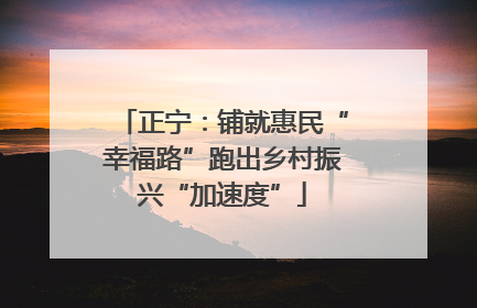 正宁：铺就惠民“幸福路”跑出乡村振兴“加速度”