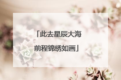 此去星辰大海 前程锦绣如画