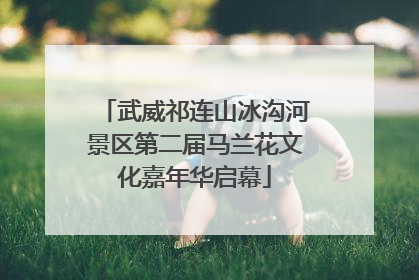 武威祁连山冰沟河景区第二届马兰花文化嘉年华启幕