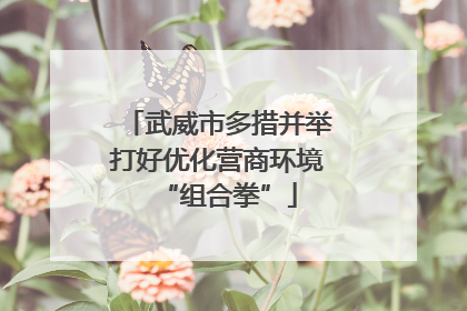 武威市多措并举打好优化营商环境“组合拳”