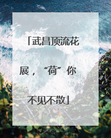 武昌顶流花展，“荷”你不见不散
