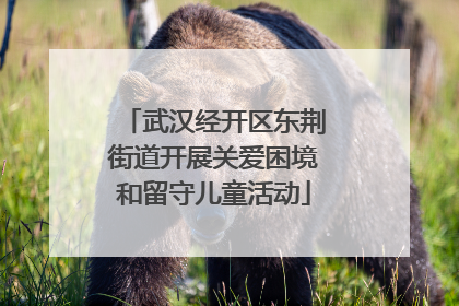 武汉经开区东荆街道开展关爱困境和留守儿童活动