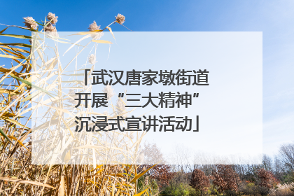 武汉唐家墩街道开展“三大精神”沉浸式宣讲活动
