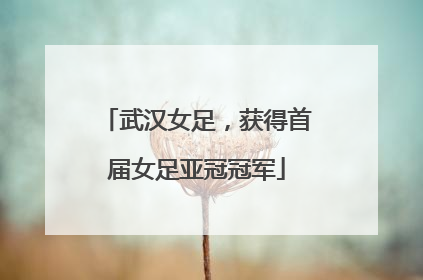 武汉女足，获得首届女足亚冠冠军
