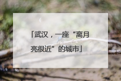 武汉，一座“离月亮很近”的城市