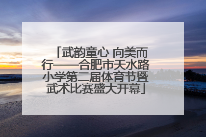武韵童心 向美而行——合肥市天水路小学第二届体育节暨武术比赛盛大开幕