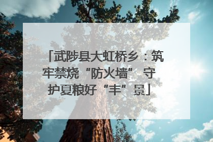 武陟县大虹桥乡：筑牢禁烧“防火墙” 守护夏粮好“丰”景
