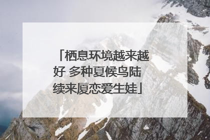 栖息环境越来越好 多种夏候鸟陆续来厦恋爱生娃
