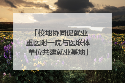校地协同促就业 重医附一院与医联体单位共建就业基地