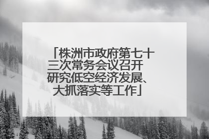 株洲市政府第七十三次常务会议召开 研究低空经济发展、大抓落实等工作