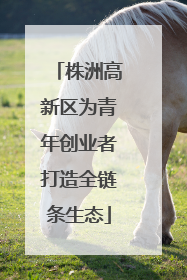 株洲高新区为青年创业者打造全链条生态