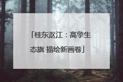 桂东沤江：高擎生态旗 描绘新画卷